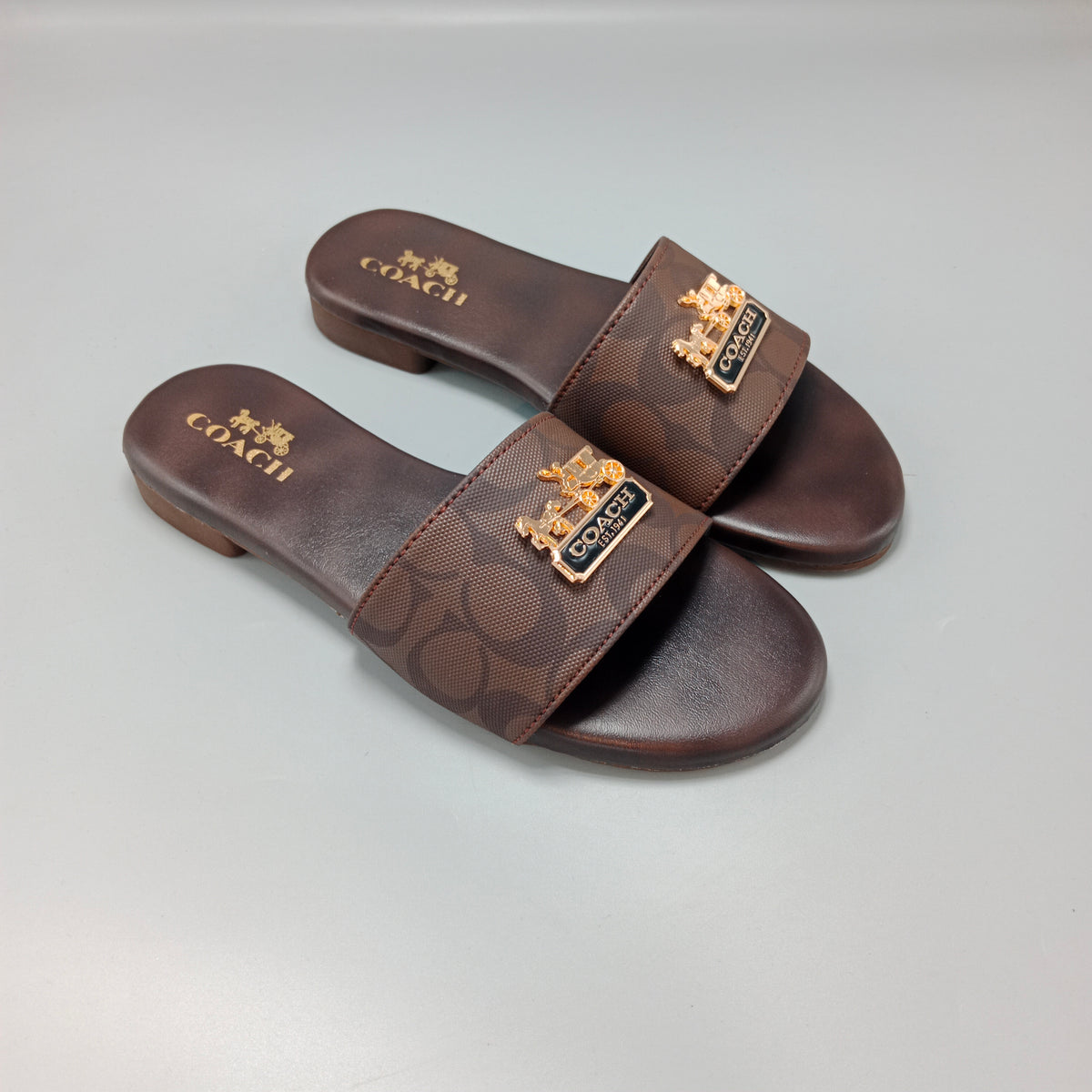COACH-1101 BROWN