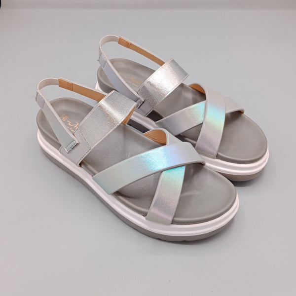 CAN-330 Grey